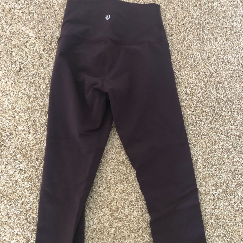 Wunder under high rise in plum